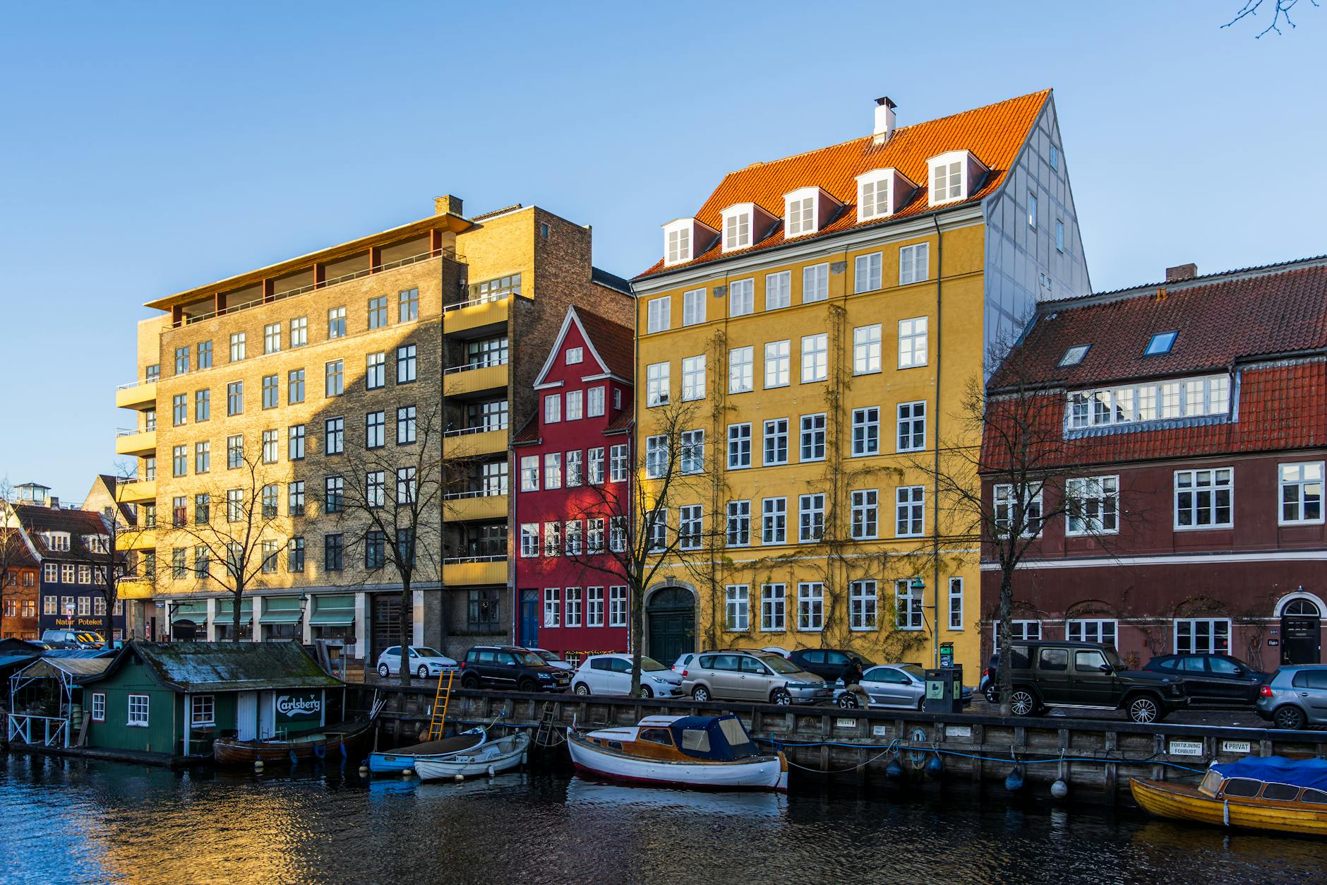 Hvem er en dygtig privat læsevejleder i København?